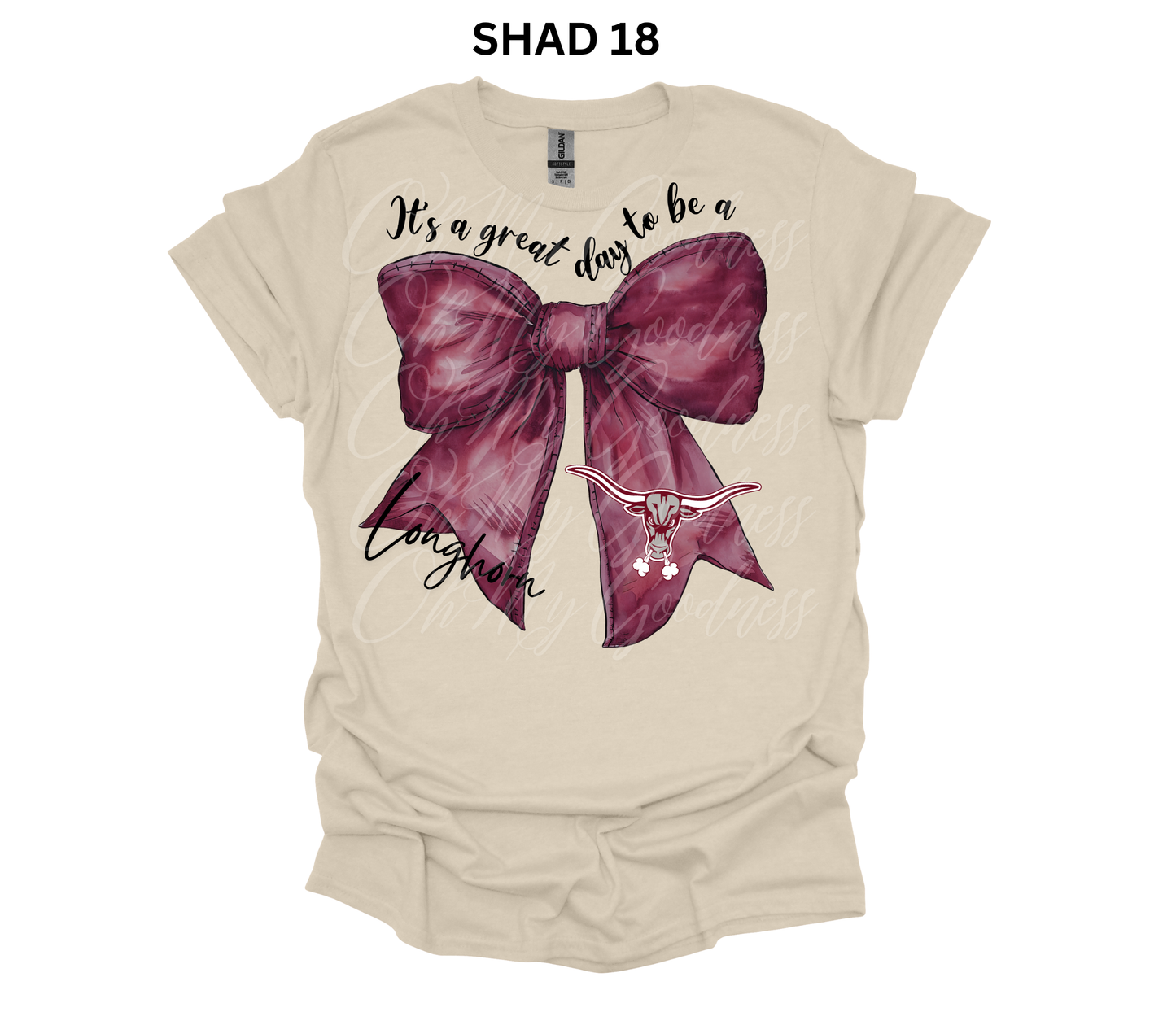 DTF S - Agua Dulce Longhorns