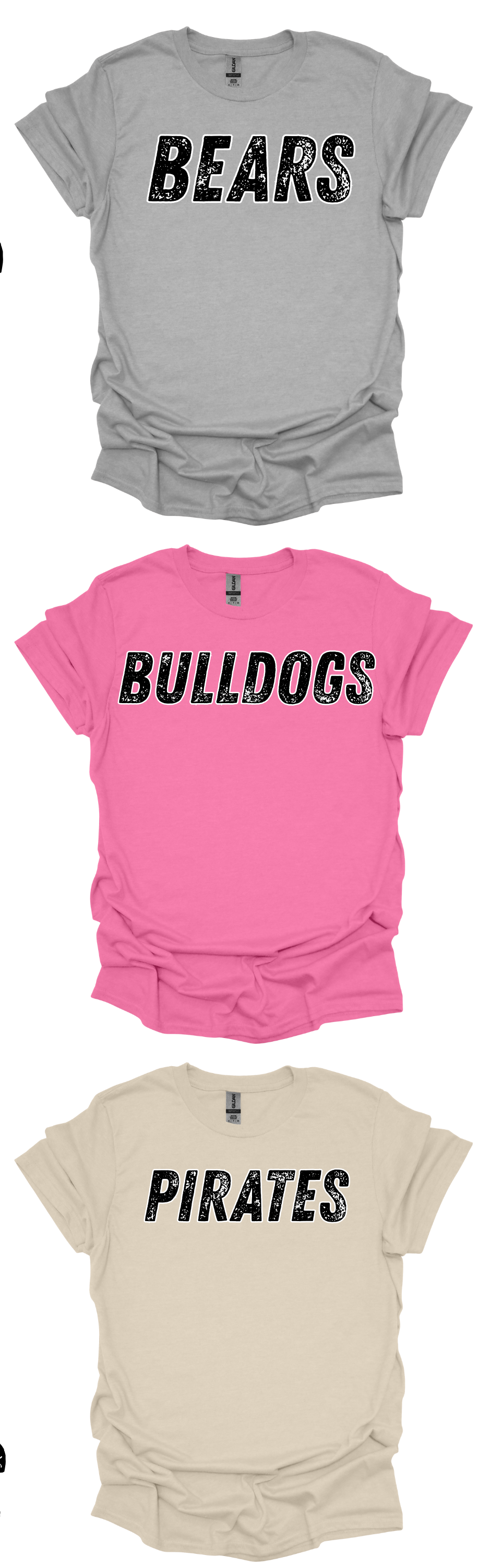 School Mascot