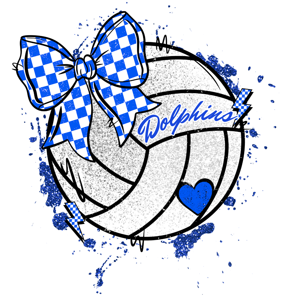Custom Volleyball