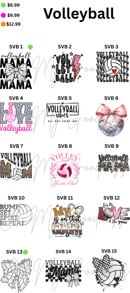 Volleyball By Color