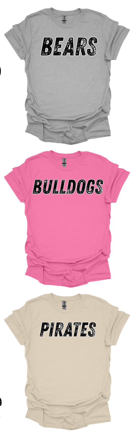 School Mascot